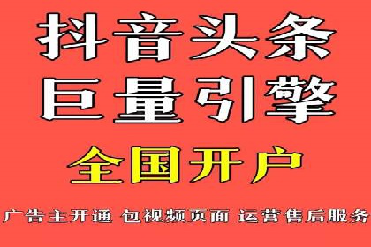 成功sem公司的策略与执行